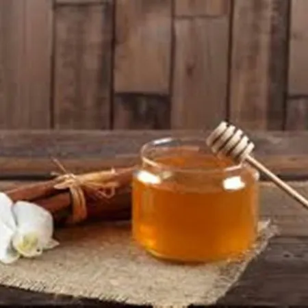 Casa Consta Olympus * Litochoro