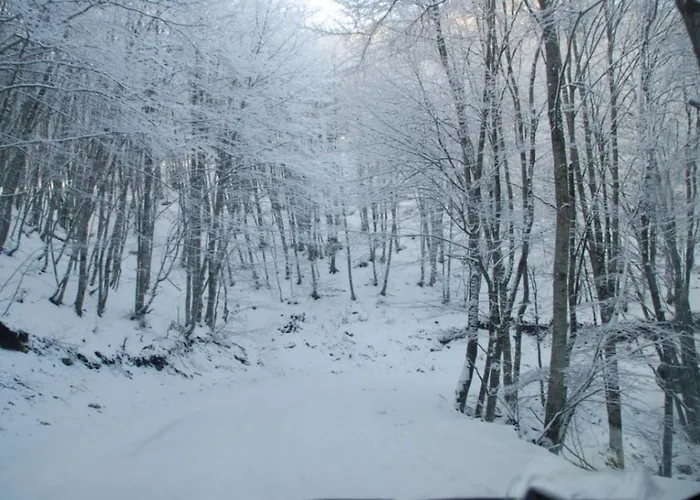 度假居 Casa Consta Olympus *