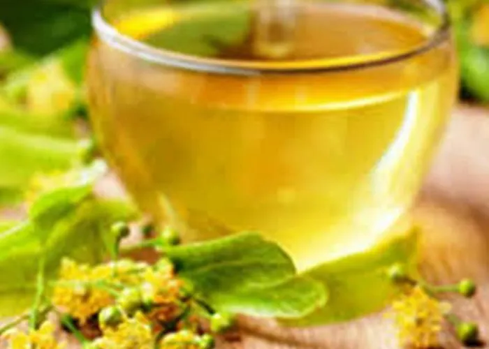 度假居 Casa Consta Olympus *